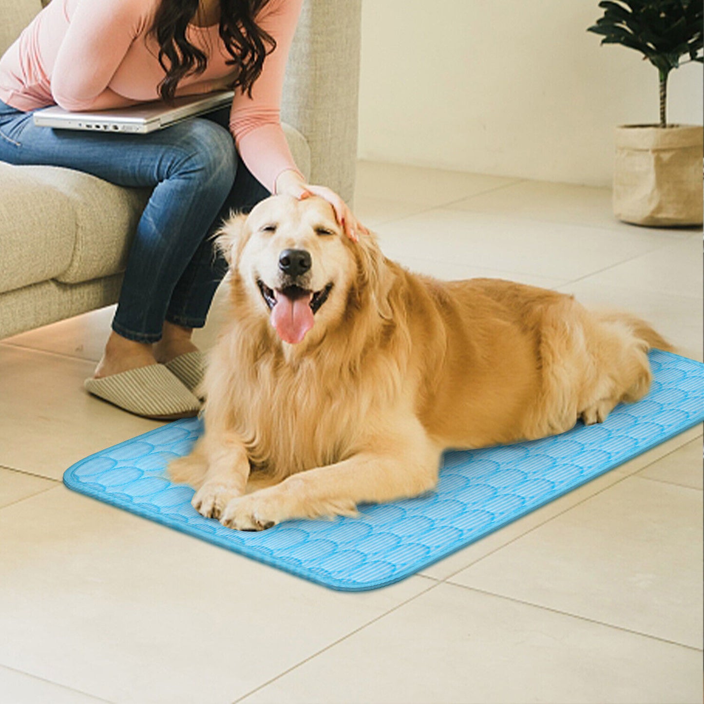 Dog lying on a blue cooling pad with a person petting it in a home setting.