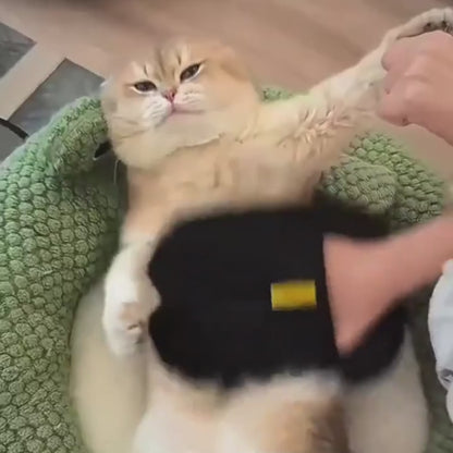 🐾 Pet Grooming Gloves – The Hands-On Way to Less Shedding & More Bonding!